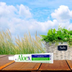 Baume contre piqûres Aloex 20 g