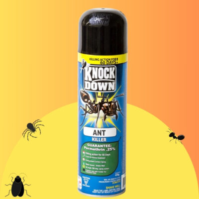 Tue-Fourmis Aérosol 439g – Élimination Efficace & Protection 60 Jours